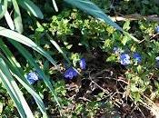 Springing Back