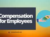 Compensation Employees