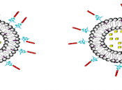 Novel Drug Delivery System (NDDS) Market Global Analysis, Trends, Share, Size, Growth, Opportunity Forecast 2018 2026