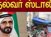 துபாய் மன்னரையே வியக்கவைத்த முதல்வர் ஸ்டாலின் மாஸ் தான் Stalin Dubai
