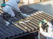 Follow These Tips You’ll Find Best Asbestos Removal Company