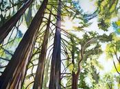 Under Giants Huge Painting California Redwoods Forest