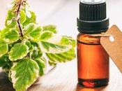 Solid Benefits Frankincense Essential