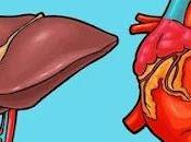 Transthyretin Amyloid Cardiomyopathy (ATTR-CM) Treatment Market Size, Share, Growth, Opportunities, Global Analysis Opportunity Assessment 2020 2027