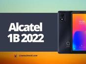 Alcatel 2022 Full Specifications Price