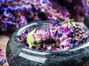 Clary Sage Oil: Benefits, Uses Side Effects