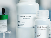 Protein Resin Market Analysis, Drivers, Restraints, Opportunities, Threats, Trends, Applications, Growth Forecast 2020 2027