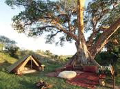 LEMARTI'S CAMP, Laikipia, Kenya
