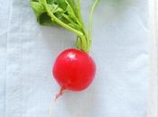 Other Side Radishes-- Thing Should Know About Radish Green Leaves