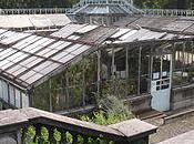 Branches Science Further Learn French Language