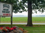 Indiana Apple Orchards: Skiles Orchard Farm Market