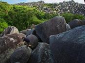 Australian Scientists Explorer Lost World First Time