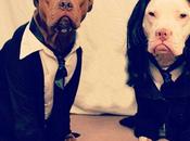 Day: Dogs Dressed Pulp Fiction Characters