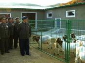 DPRK Premier Tours Breeding Farm Construction