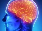 Better Blood Sugar, Memory