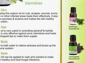 Soulflower Tells Tale Tree