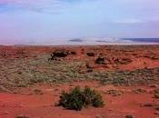 Looking Desert from Wupatki Ruins 2013~May