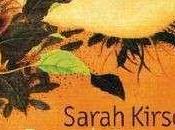 Sarah Kirsch’s Regenkatze Raincat (2007)