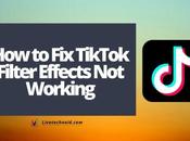 TikTok Filter Effects Working