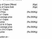 Coconut Products Prices 26.04.2022)