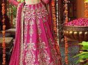 Maroon Lehenga Blouse