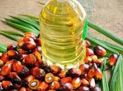 Fried Foods Will Ukraine Change Indian Eating Habits