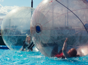Facts Should Know About Zorbing