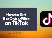 Crying Filter TikTok