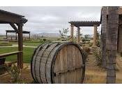 Trio Cabernet Barrel Choices McGrail Vineyards Winery
