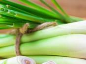 Lemongrass Substitutes Flavor Your Dishes