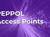 Full Guide Using Peppol Access Point