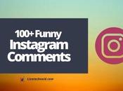 100+ Funny Instagram Comments