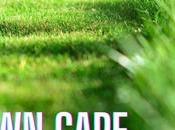 Lawn Care: Improve Your Ranking Google