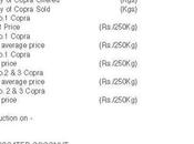 Coconut Products Prices 01.06.2022)