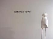 Make Weekend Project