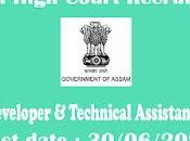 Gauhati High Court Recruitment 2022 Senior Developer Technical Assistant Vacancy