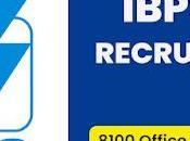 8100 Posts Institute Banking Personnel Selection IBPS Recruitment 2022(All India Apply) Last Date June