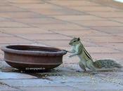 Search Drinking Water