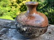 Summer Solstice--Turning