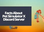 Facts About Simulator Discord Server