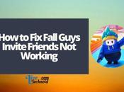 Fall Guys Invite Friends Working