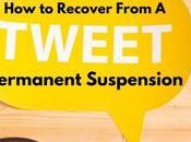 Recover From Permanent Twitter Suspension