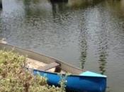 Disconnect Your Good