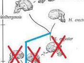 Teeth Raise Questions Over Last Common Ancestor Humans Neanderthals