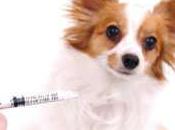 Sometimes Vaccines Fail