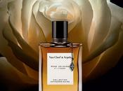 Rose Velours Fragrance from Cleef Arpels Collection Extraordinaire Series