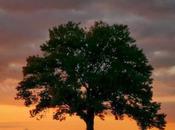 Mosaic Forgotten Time