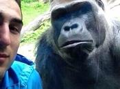 Day: Selfie With Gorilla
