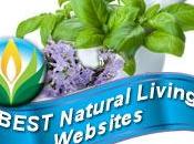 Natural Living Homemaking Blogs
