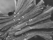 Alexander Spit Dillinger (Album Stream)